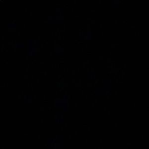 Meet your Posher, Summer